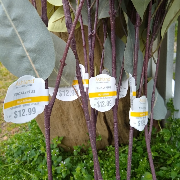 FLORALS - Picture 2 of 4